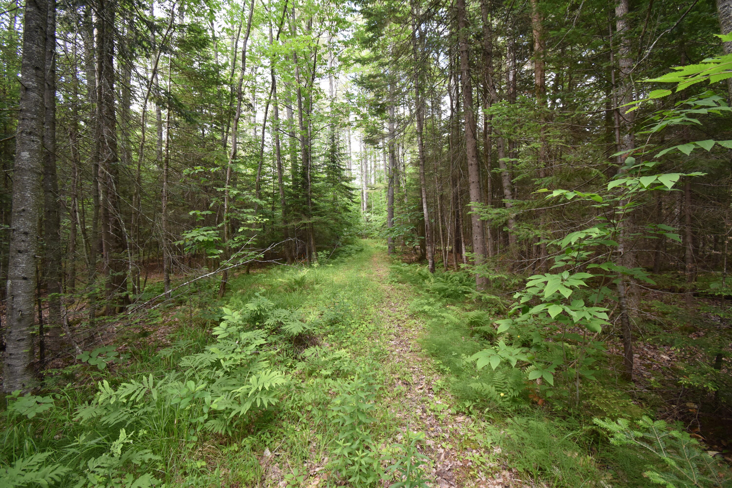 58 Pond Road Manchester, ME 04351 - Photo 62 of 67 DSC_0773