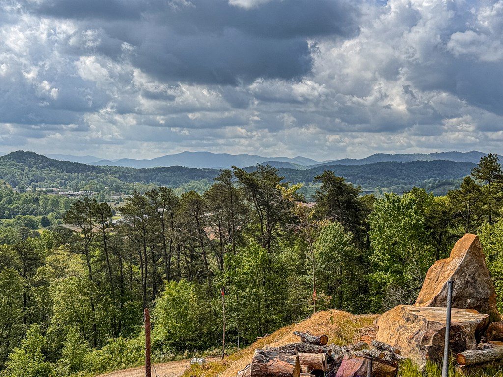 134 Mistletoe Ridge Murphy, NC 28906 - Photo 14 of 18 a view of a outdoor space with green space