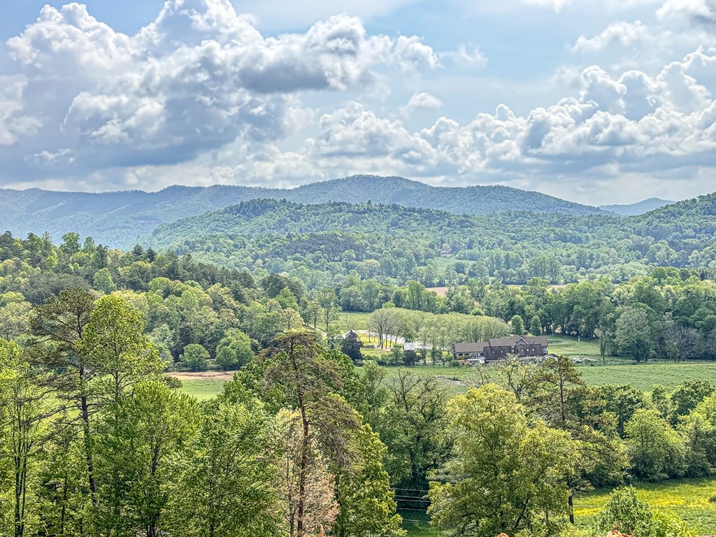134 Mistletoe Ridge Murphy, NC 28906 - Photo 3 of 18 a view of a city with lush green forest