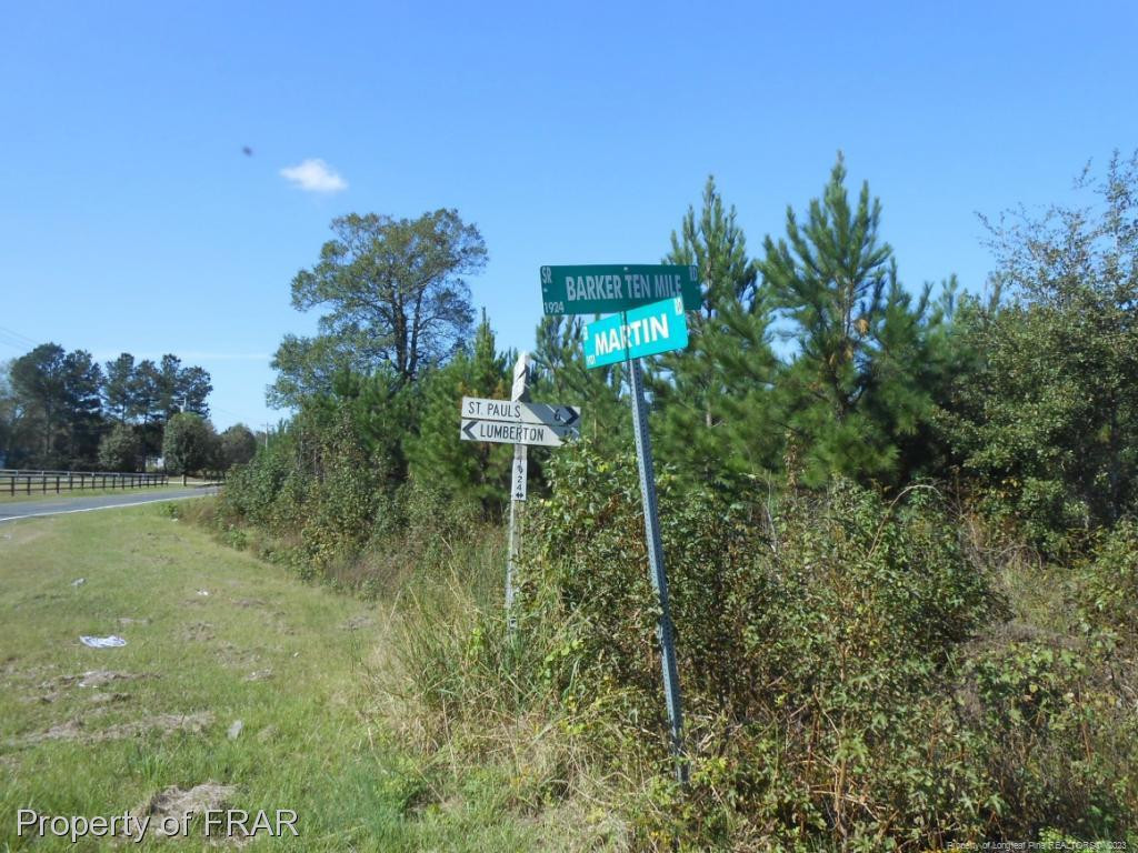 0 Martin Road St. Pauls, NC 28384 - Photo 6 of 9 Photo 6