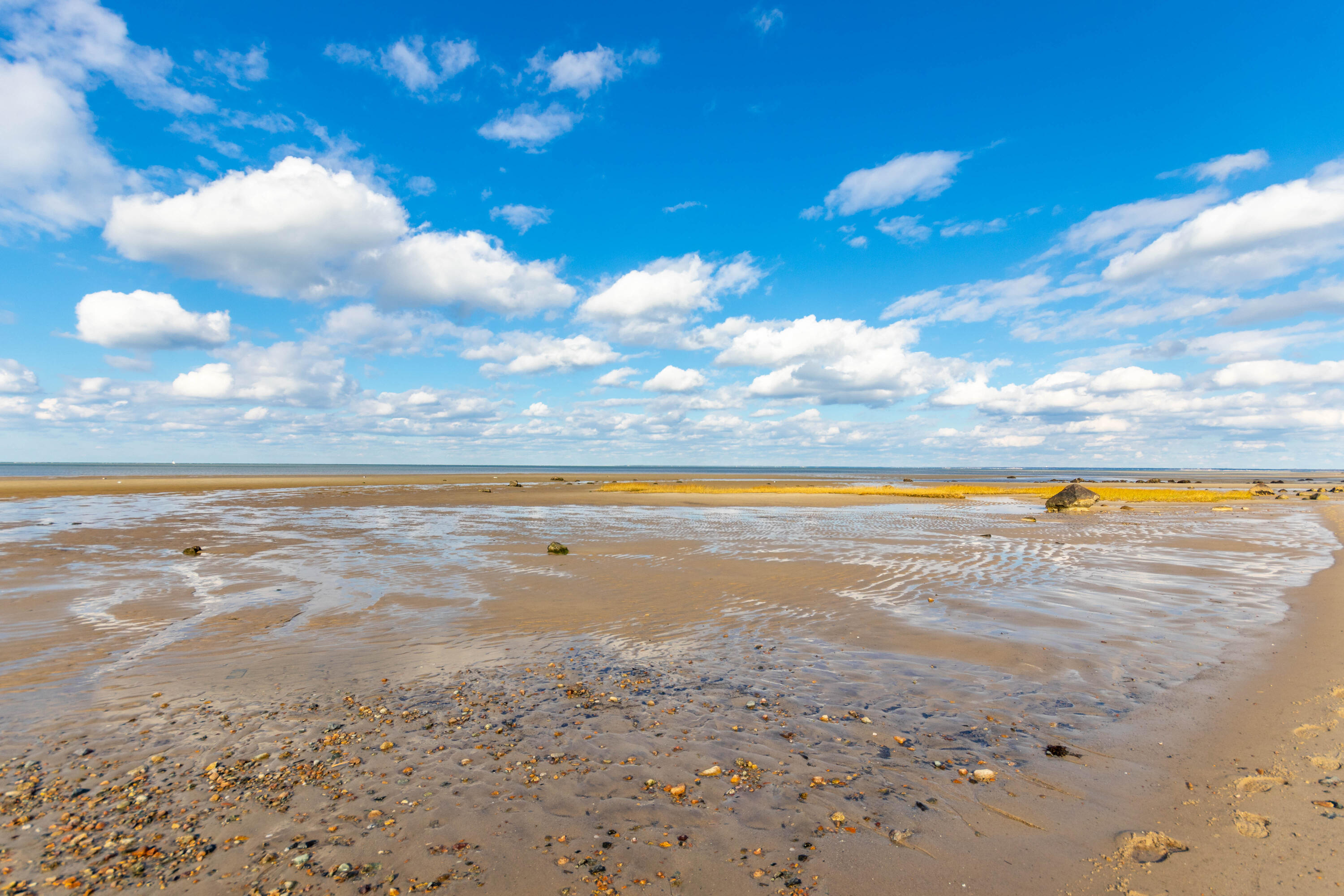 141 Long Pond Road Brewster, MA 02631 - Photo 47 of 58 Breakwater Beach #2