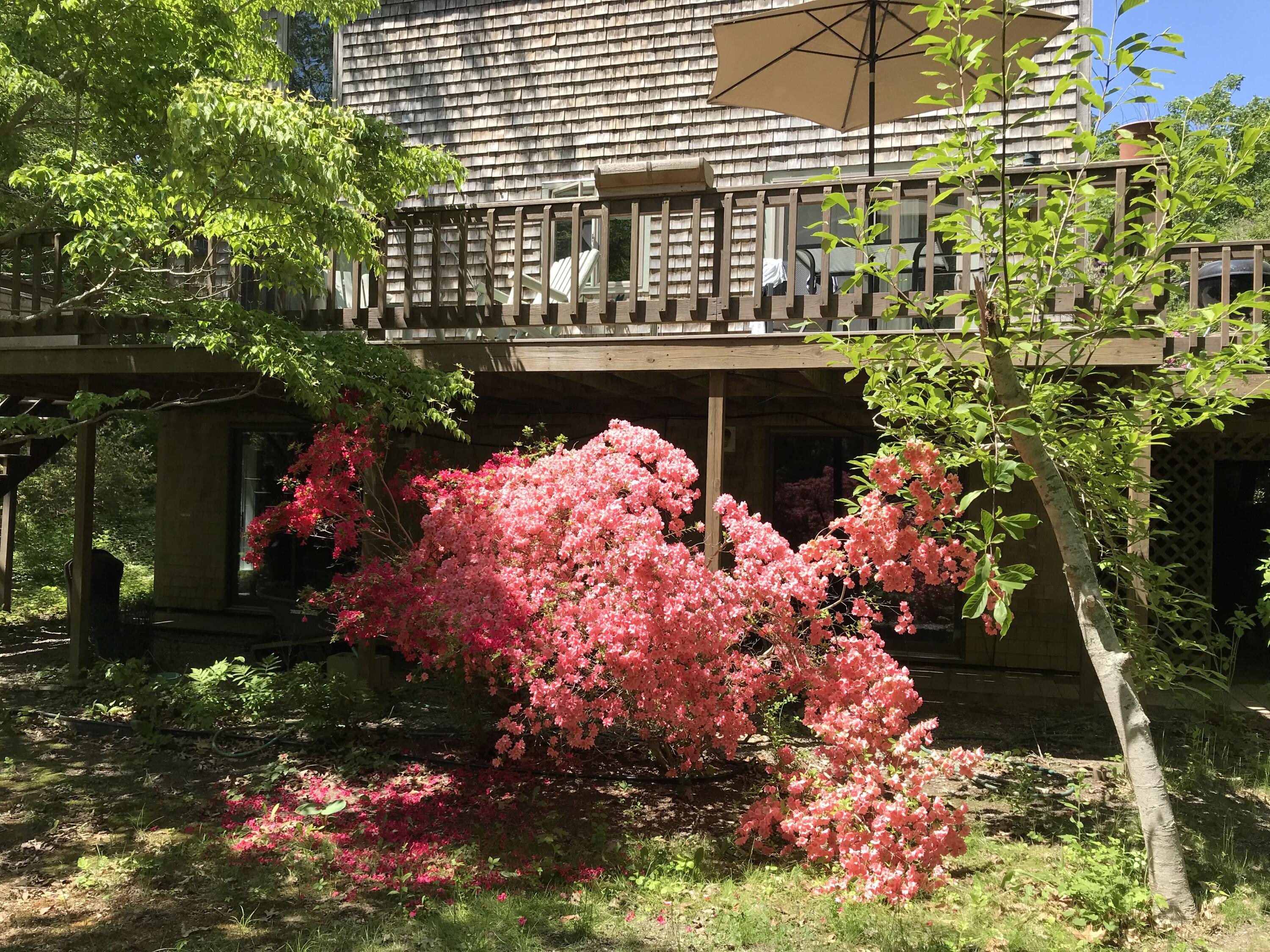 141 Long Pond Road Brewster, MA 02631 - Photo 52 of 58 Spring