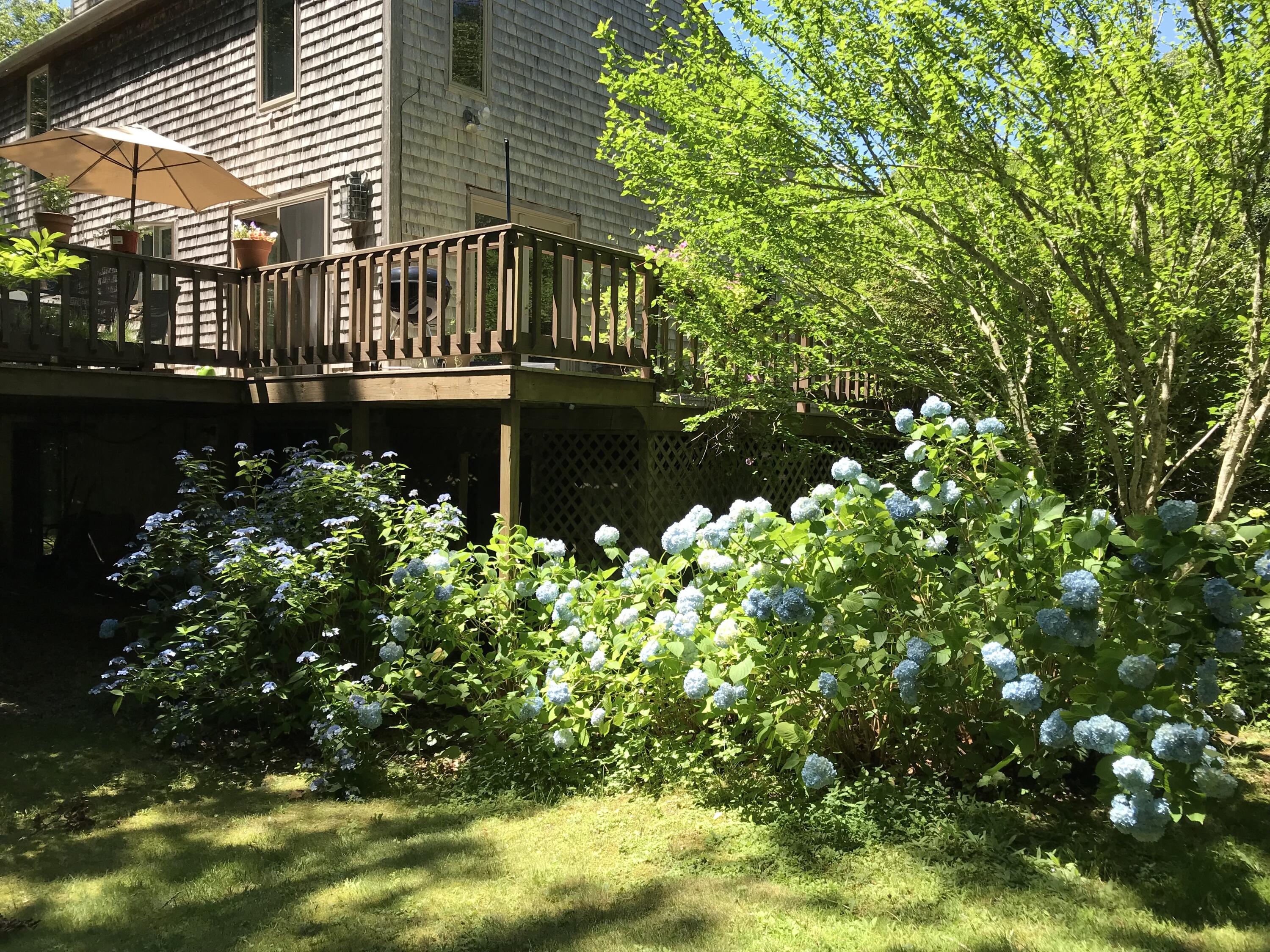 141 Long Pond Road Brewster, MA 02631 - Photo 55 of 58 Summer