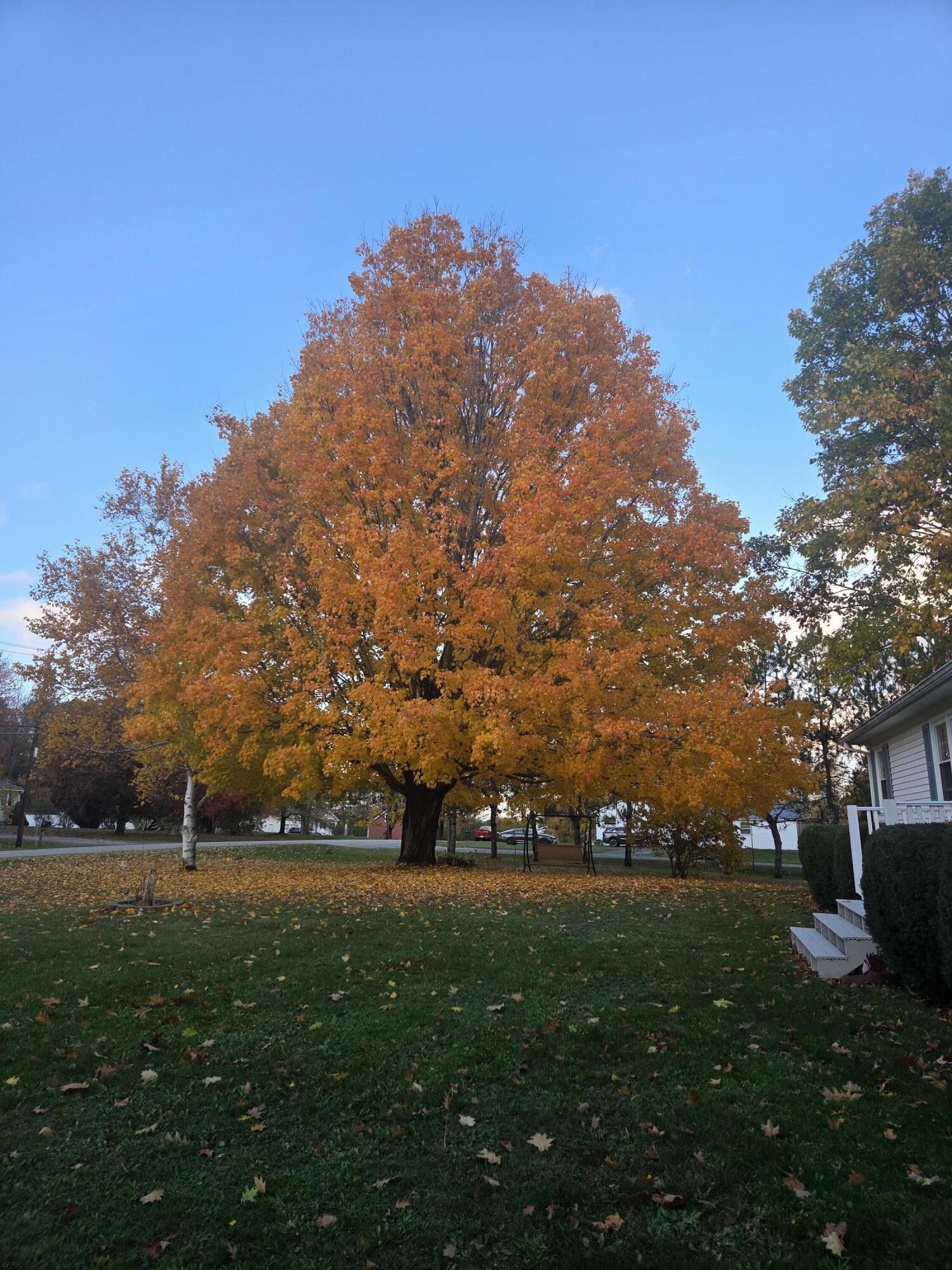 77 Billings Road Hermon, ME 04401 - Photo 29 of 29 1000013717