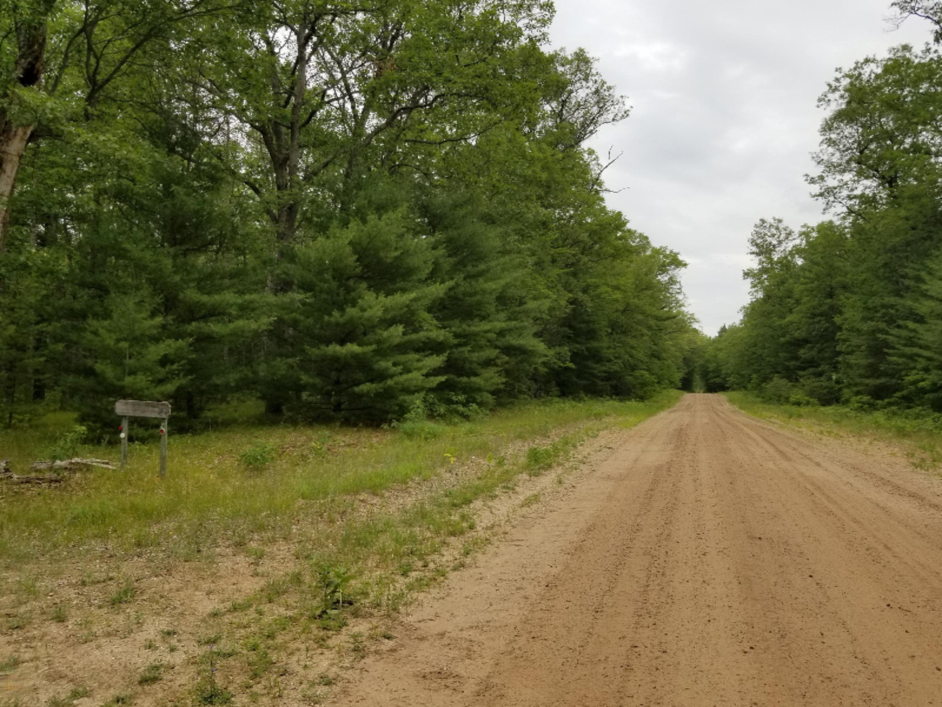 354 North Volem Road Wellston, MI 49689 - Photo 8 of 9 20200715_134959