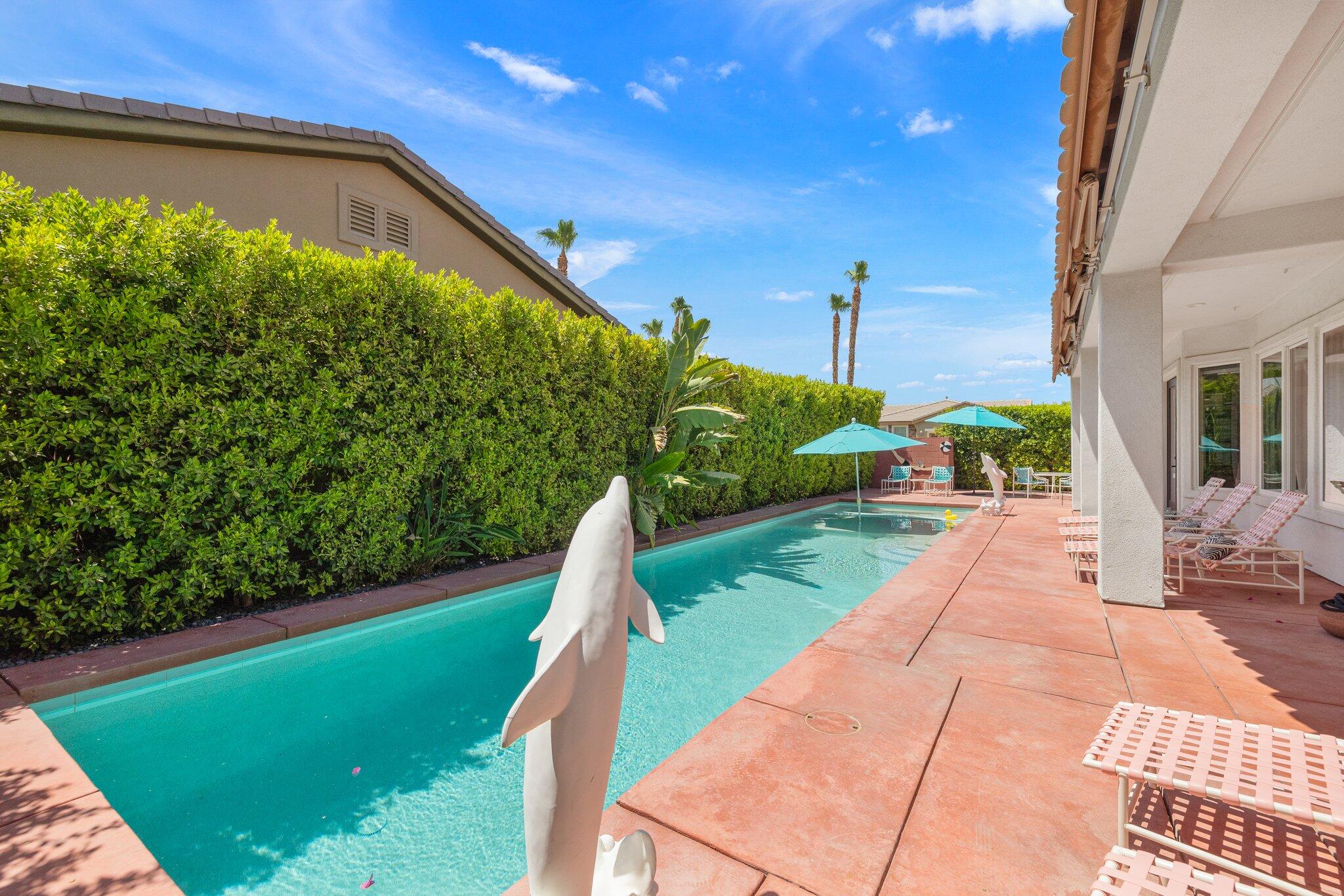 61185 Soaptree Drive La Quinta, CA 92253 - Photo 43 of 51 a view of a back yard