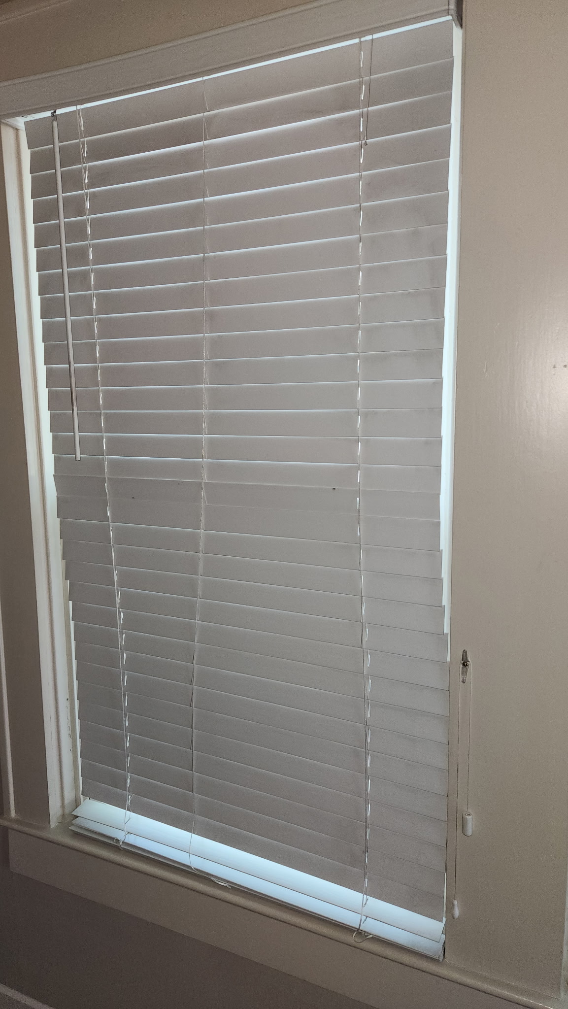 1709 Enfield Road, Unit A Austin, TX 78703 - Photo 8 of 8 Adjustable window blinds offer both privacy and natural light control.