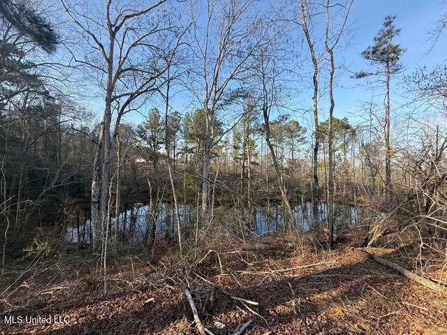 $309,500 | 547 Shirley Sanford Road, Seminary, MS 39479