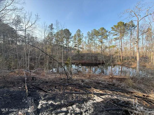 $309,500 | 547 Shirley Sanford Road, Seminary, MS 39479