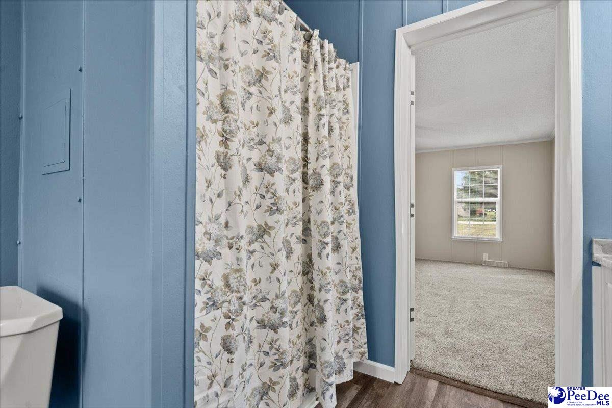 427 East Friendfield Road Coward, SC 29530 - Photo 18 of 51 Gallery Image 18