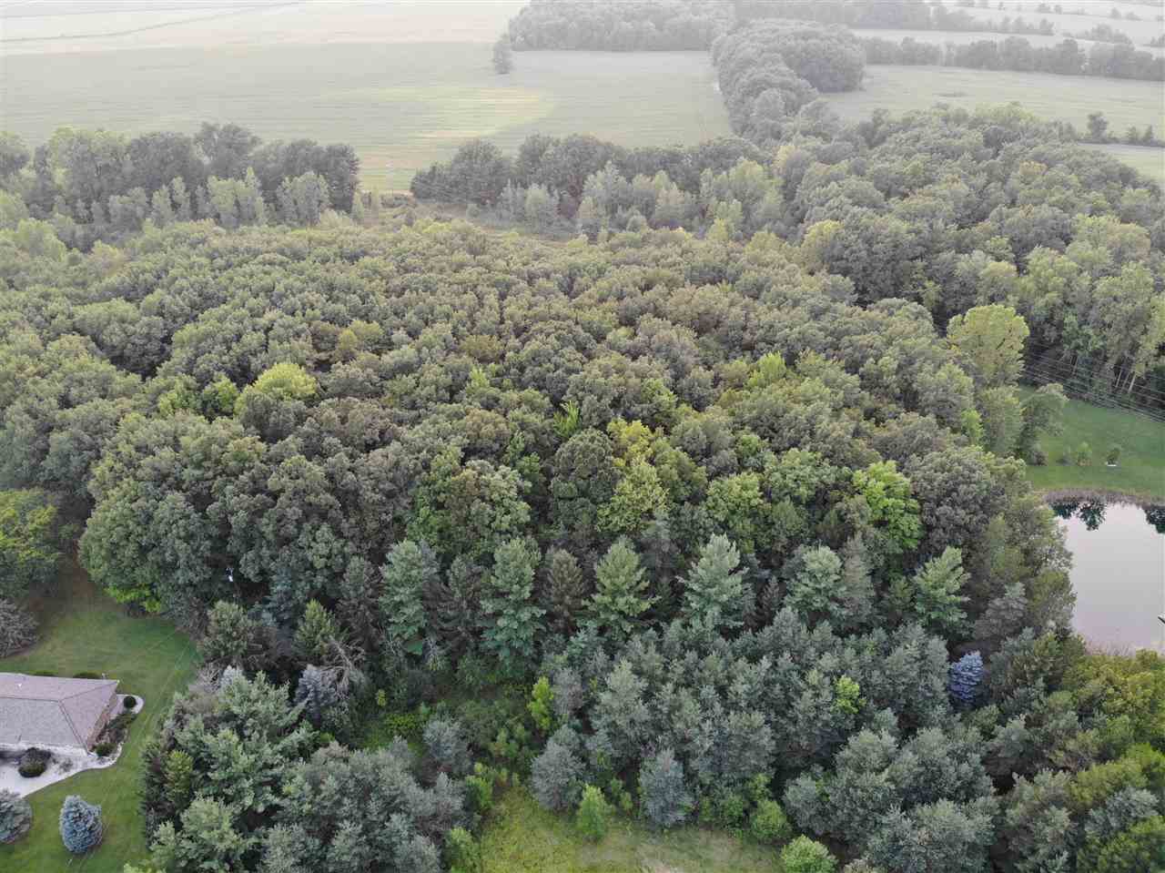Parcel C North Byron Road Lennon, MI 48449 - Photo 2 of 13