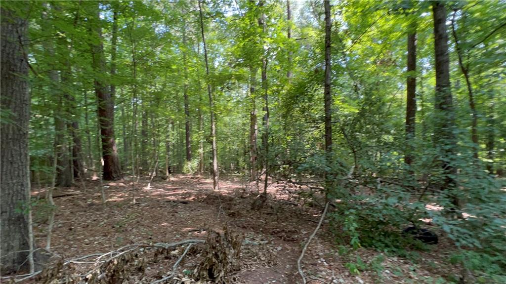 2957 Thompson Mill Road Decatur, GA 30034 - Photo 1 of 16
