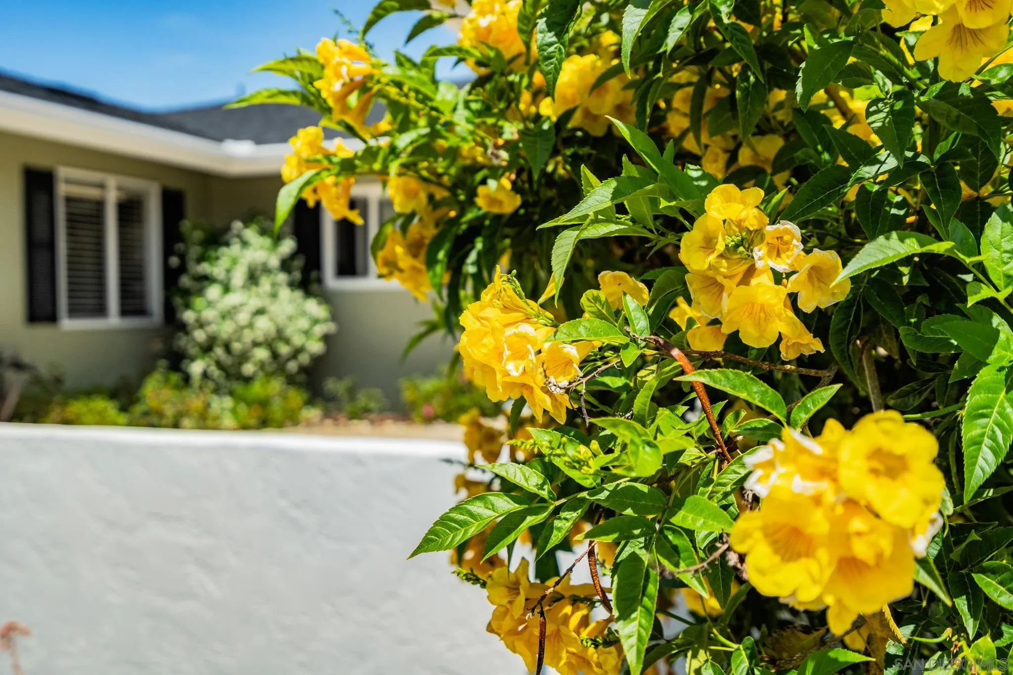 12252 Rios Road San Diego, CA 92128 - Photo 4 of 58 Gallery Image 4