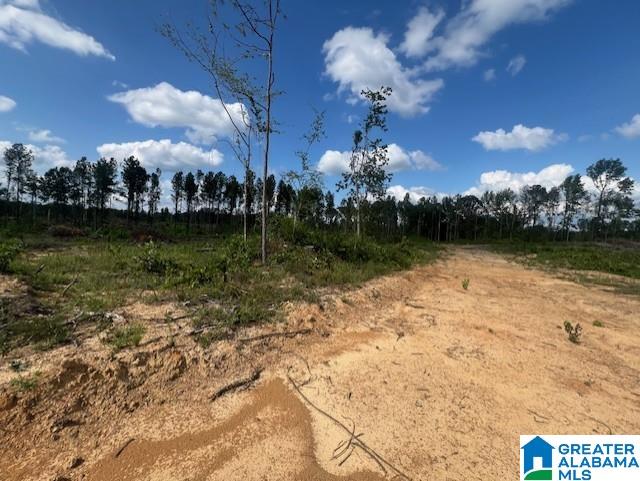 11482 Camp Oliver Road Adger, AL 35006 - Photo 33 of 48