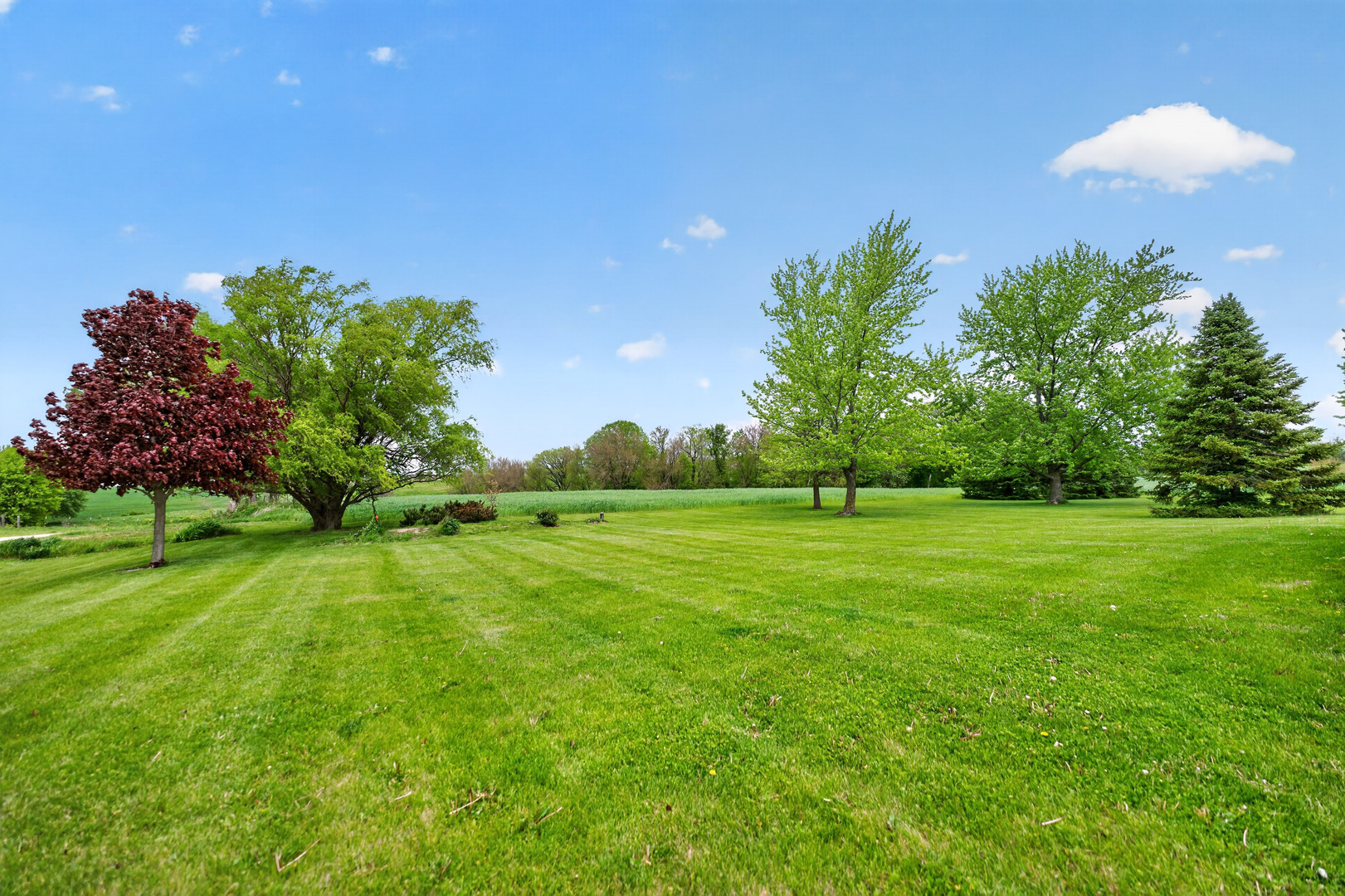 8086 Kane Road Waterman, IL 60556 - Photo 38 of 44