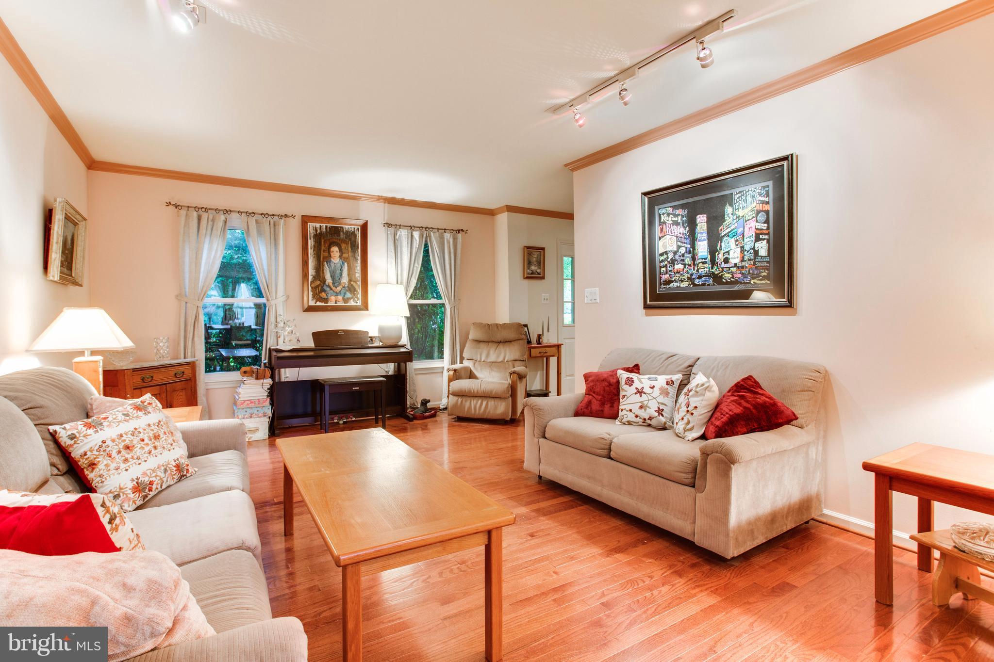 5806 Stone Ridge Drive Centreville, VA 20120 - Photo 5 of 26 Natural lighting and lots of added fixtures