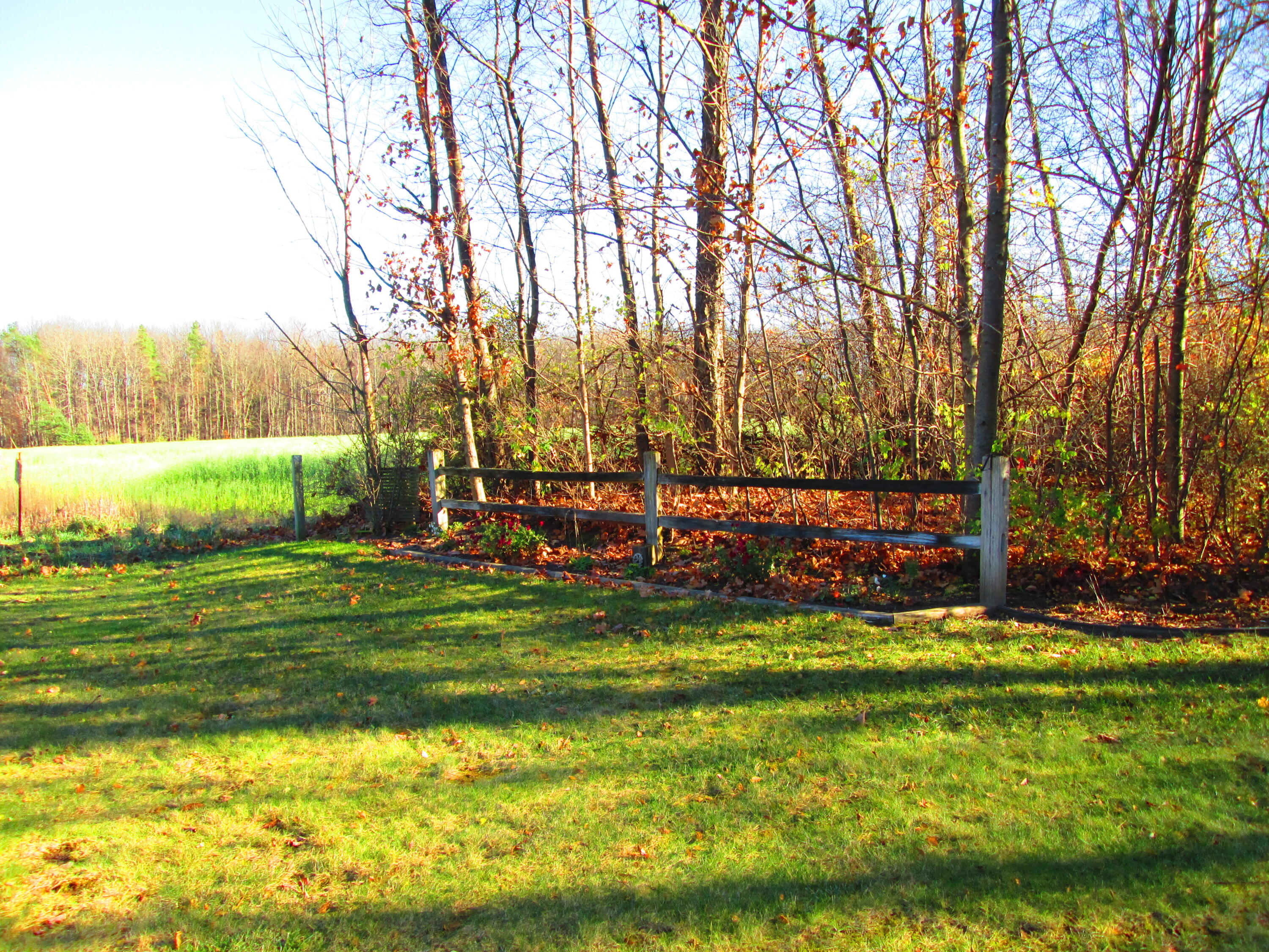 1003 West Hazel Road Hart, MI 49420 - Photo 10 of 35 IMG_3016