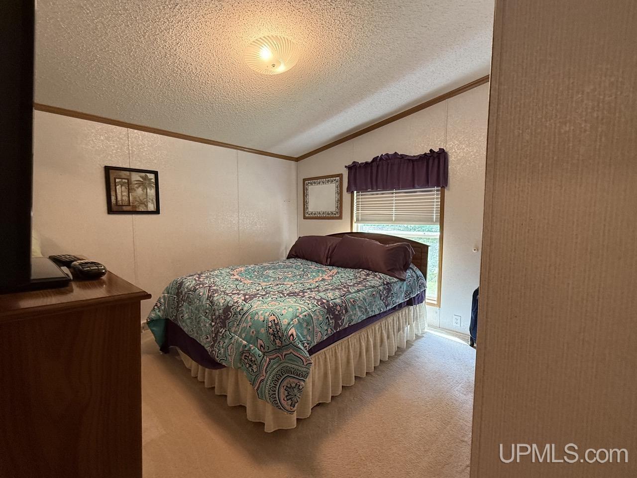 N13515 Newberg Road Channing, MI 49815 - Photo 32 of 51
