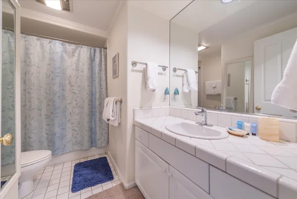 a kitchen with a sink cabinets stainless steel appliances and a window