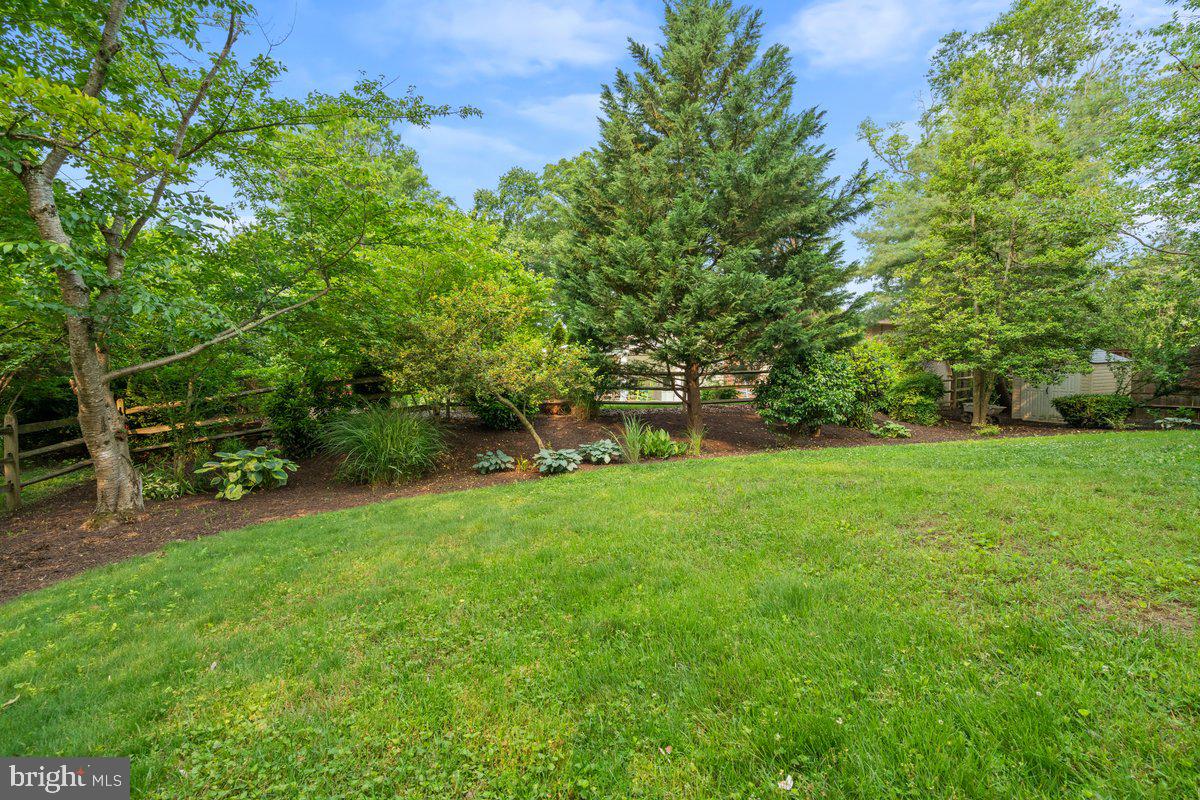 2100 Shenandoah Road Alexandria, VA 22308 - Photo 25 of 30 Side Yard