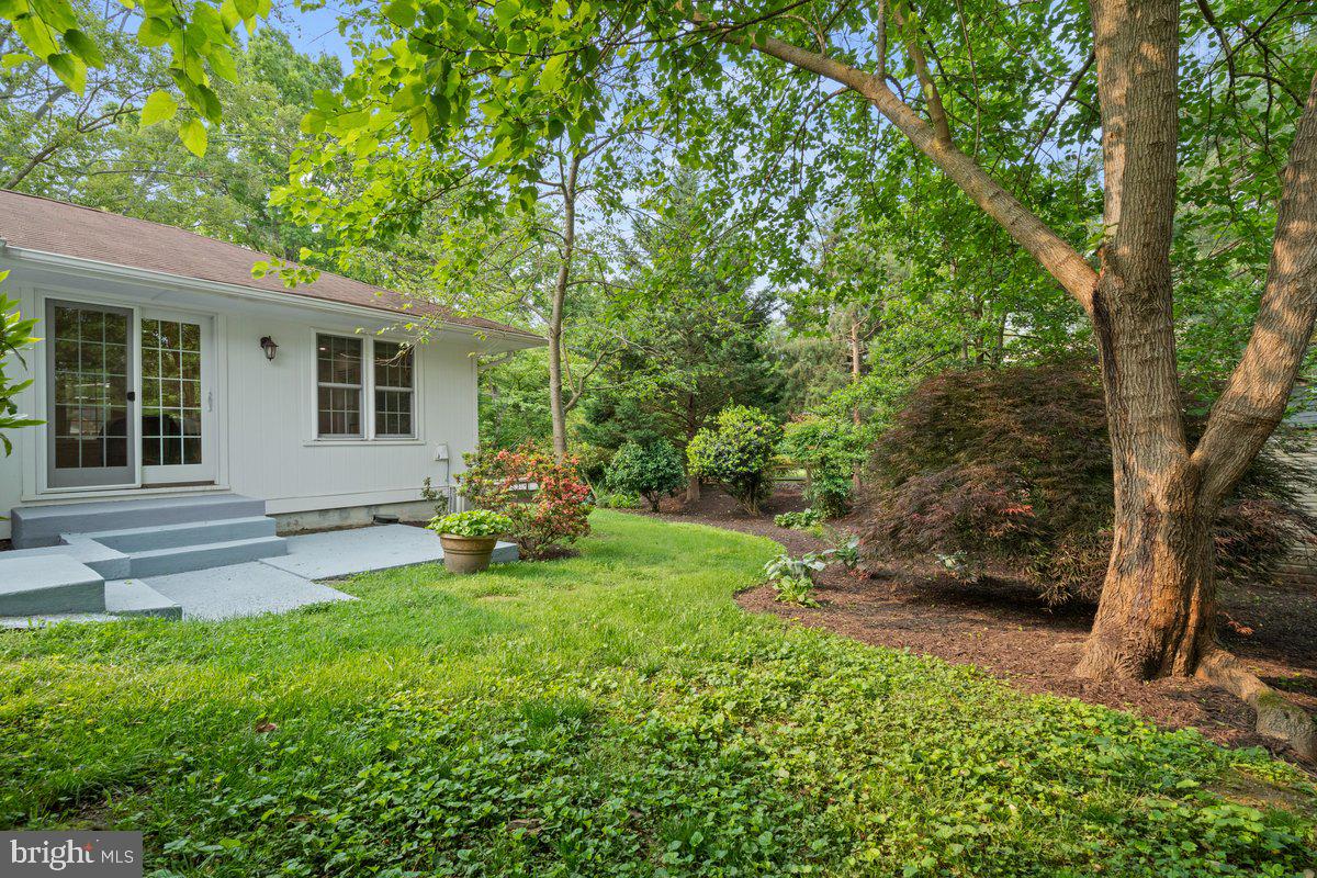2100 Shenandoah Road Alexandria, VA 22308 - Photo 29 of 30 Rear Yard