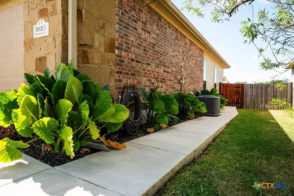 a bunch of flowers in front of house