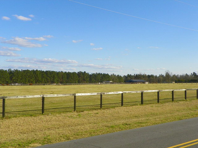 Lot 4 Skyland Farm Road Williston, SC 29853 - Photo 6 of 8