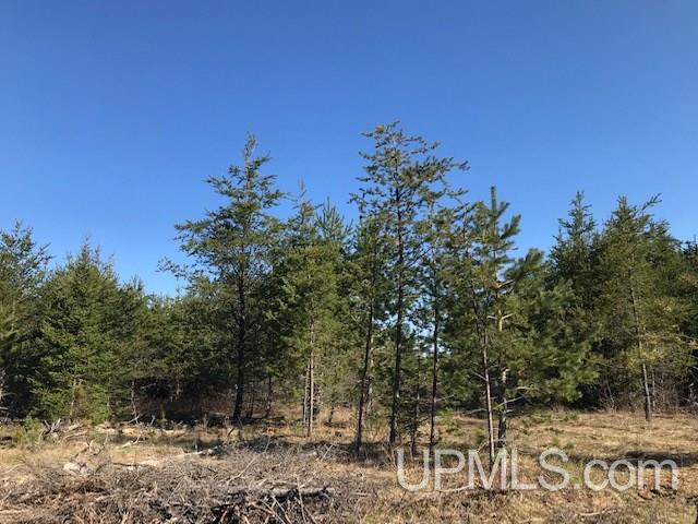 31-acres Weckerle Road Pembine, WI 54156 - Photo 2 of 10