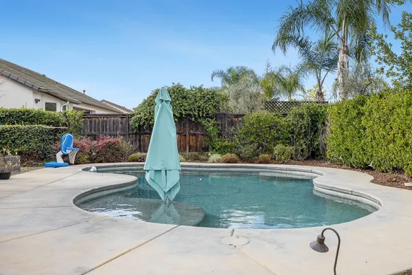 a view of a palm tree with flower plants