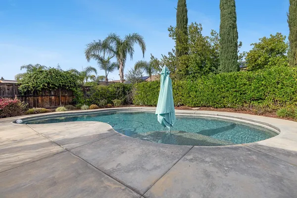 a view of a park with large trees