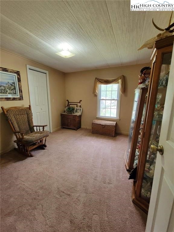 508 George Wilson Road Boone, NC 28607 - Photo 17 of 30 Gallery Image 17