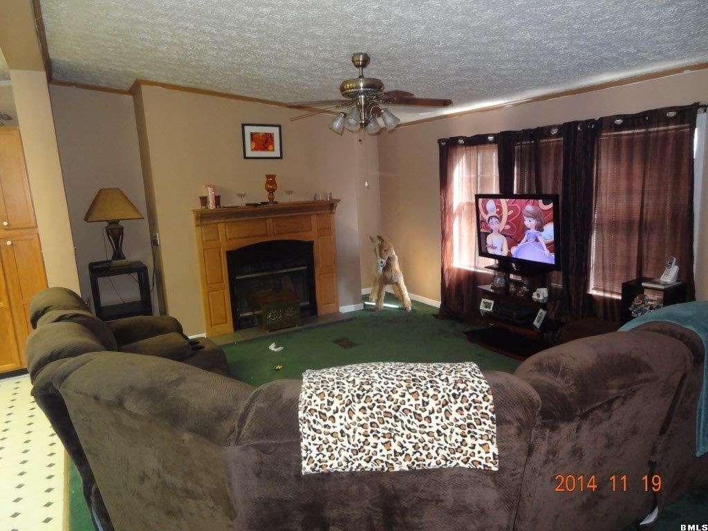 172 Pooh Bear Lane Ruffin, SC 29475 - Photo 3 of 20 Additional Photo