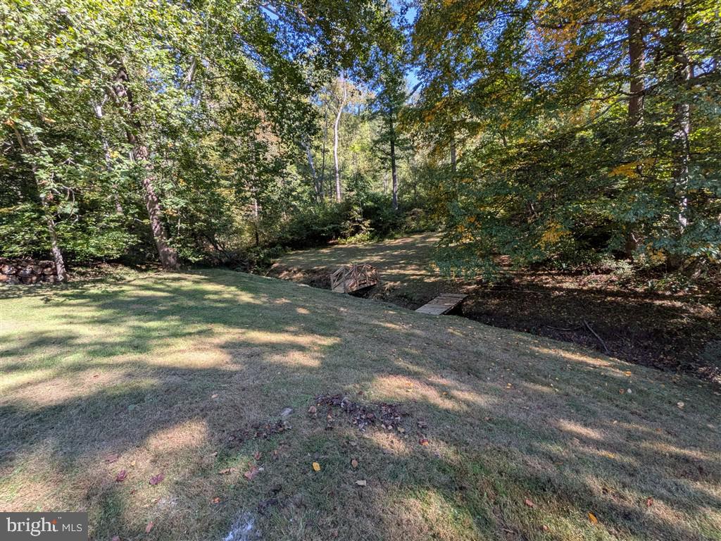 1380 South F T Valley Road Madison, VA 22727 - Photo 5 of 6 Gallery Image 5