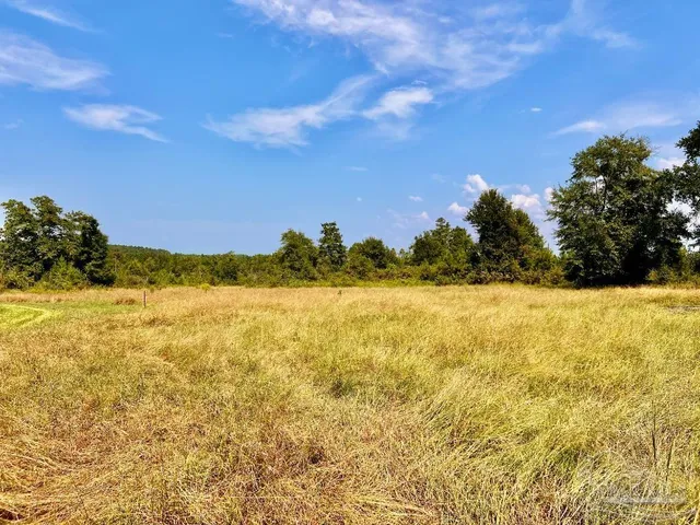 $300,000 | Lot 17 Morgans Branch, Molino, FL 32577