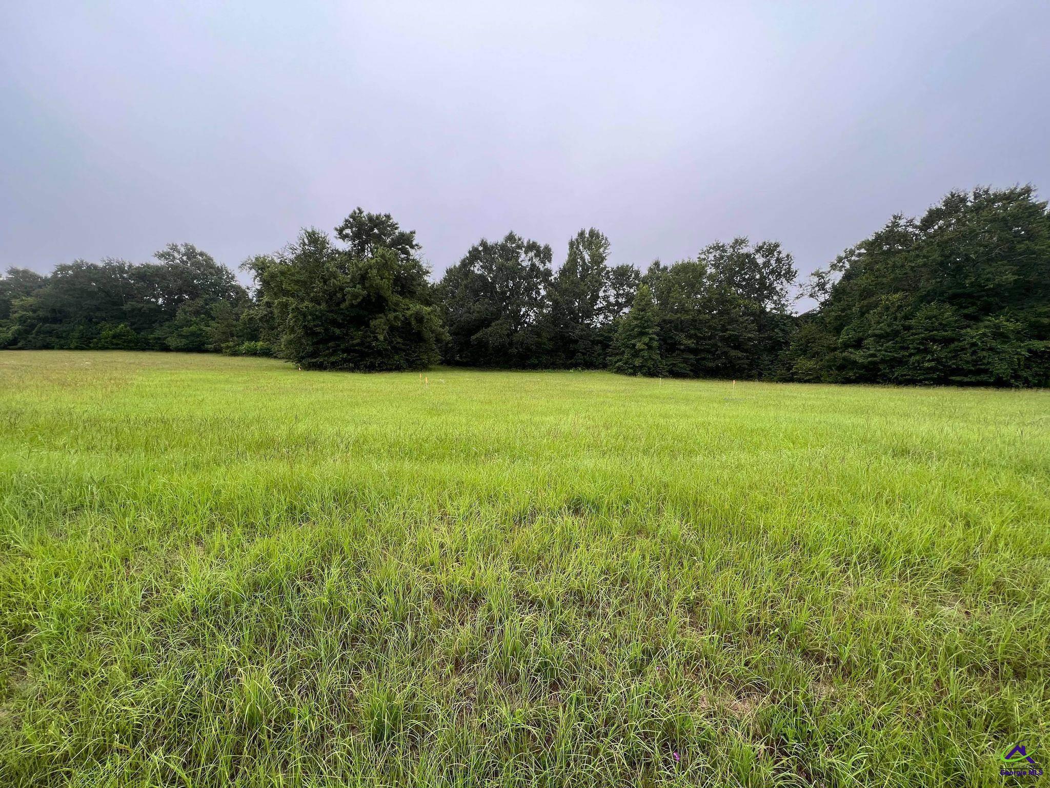 2137 Redding Road Lizella, GA 31052 - Photo 1 of 9