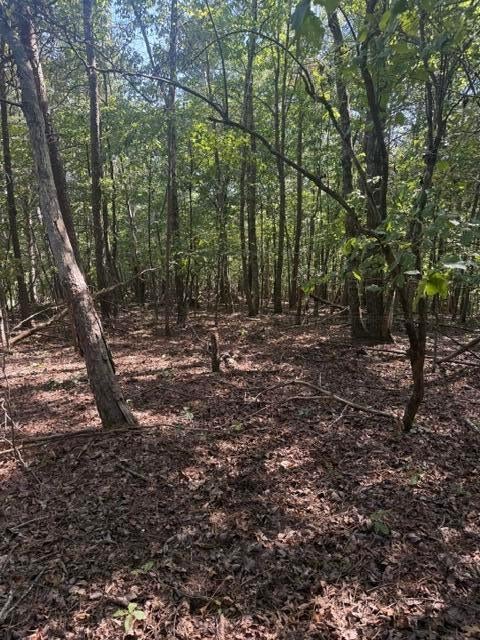 0 Ball Road Phil Campbell, AL 35581 - Photo 2 of 7 Gallery Image 2