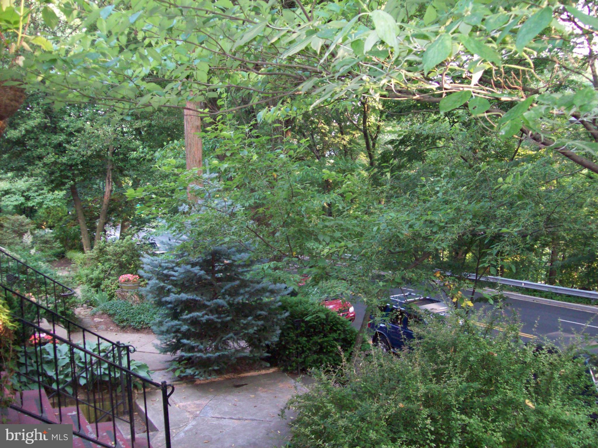 3157 Adams Mill Road Northwest Washington, DC 20010 - Photo 2 of 26 Exterior (Rear)