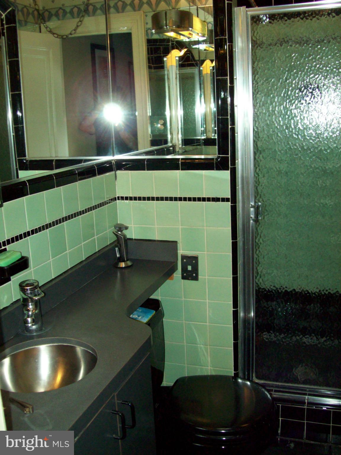 3157 Adams Mill Road Northwest Washington, DC 20010 - Photo 14 of 26 Master bathroom