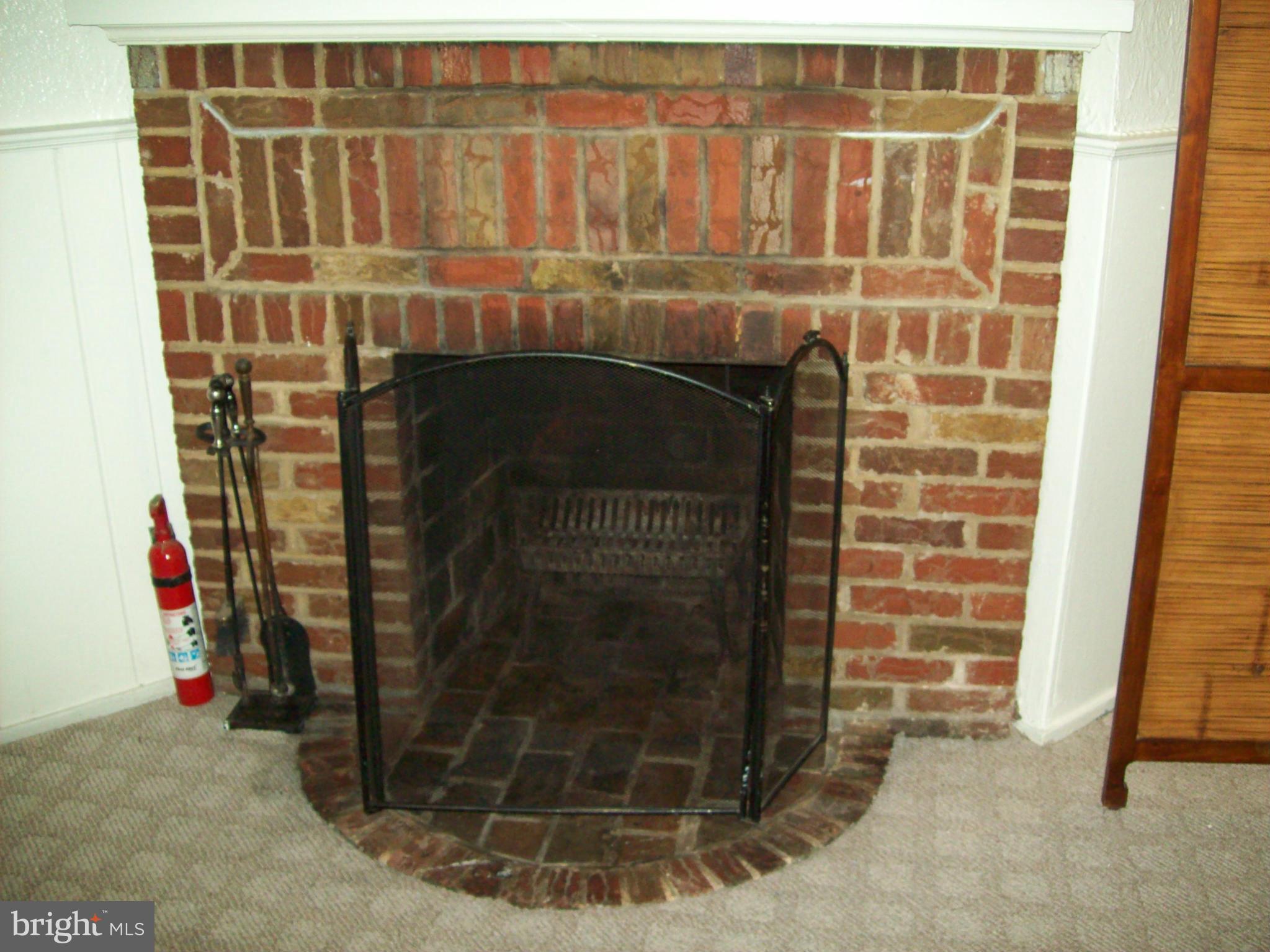 3157 Adams Mill Road Northwest Washington, DC 20010 - Photo 25 of 26 Basement FIreplace