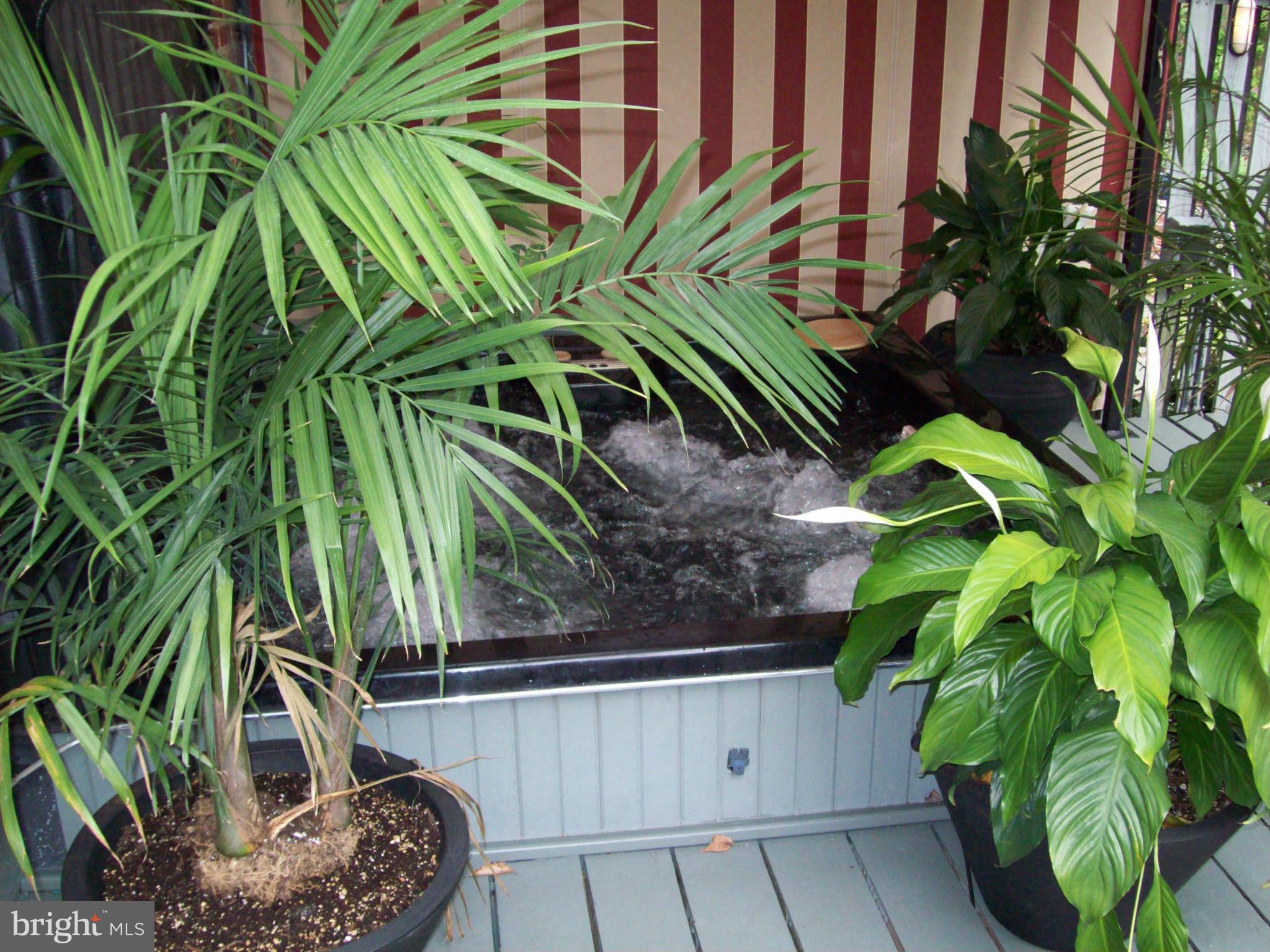 3157 Adams Mill Road Northwest Washington, DC 20010 - Photo 10 of 26 Hot Tub