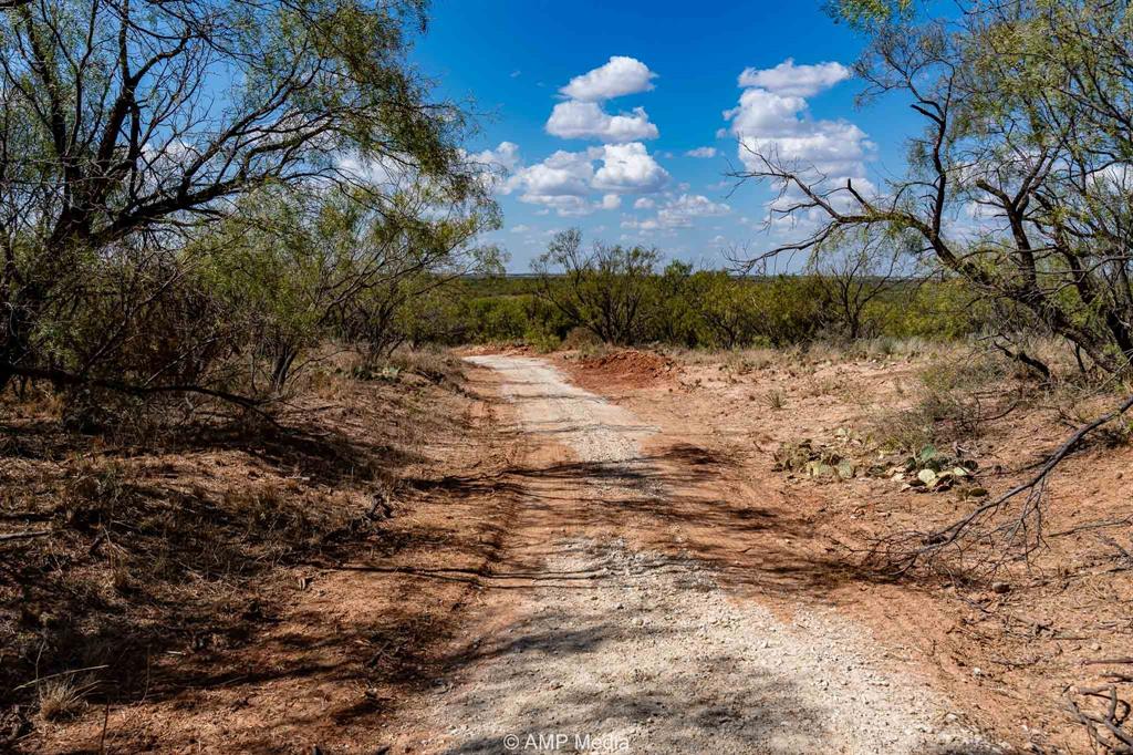4538 463rd Rule, TX 79548 - Photo 18 of 39 a view of a yard with a tree