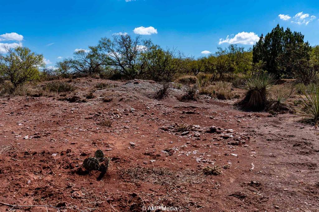 4538 463rd Rule, TX 79548 - Photo 21 of 39 a view of a dry yard with trees