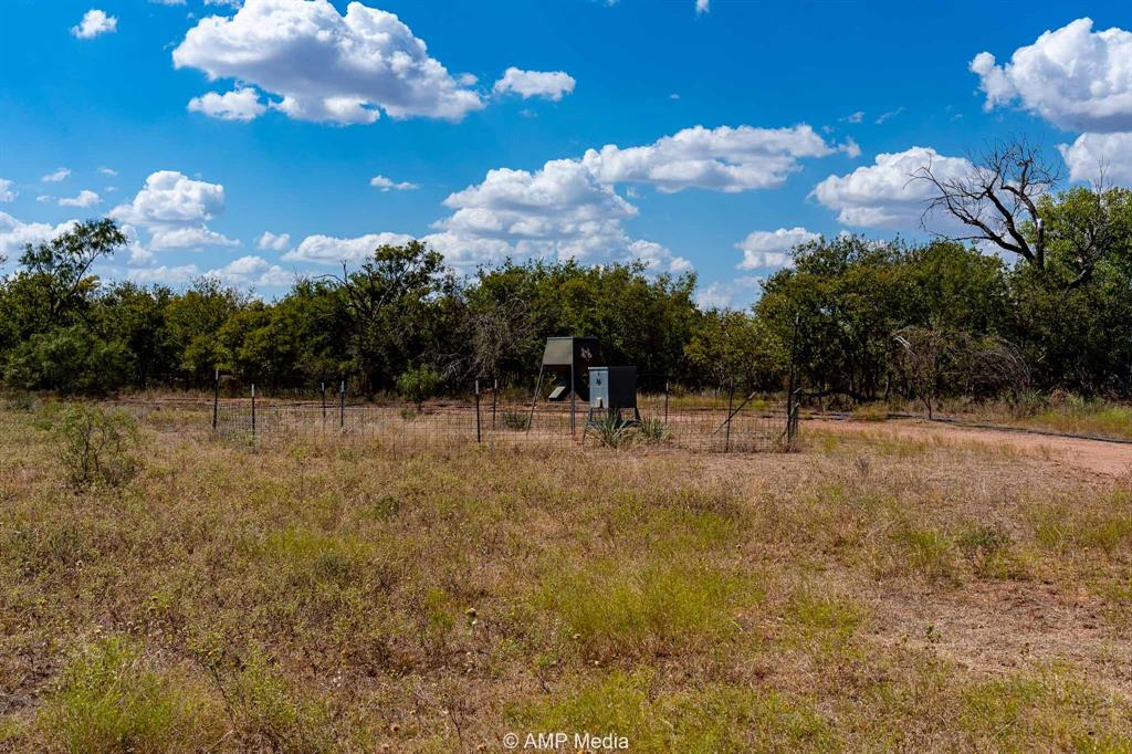 4538 463rd Rule, TX 79548 - Photo 22 of 39 a view of a yard