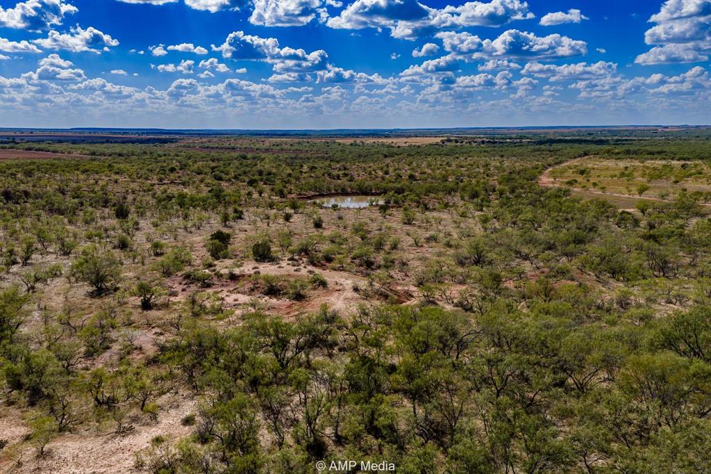4538 463rd Rule, TX 79548 - Photo 25 of 39 a view of a yard with an outdoor space