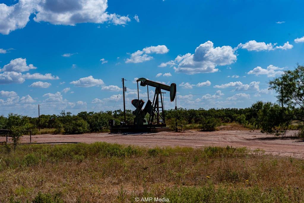 4538 463rd Rule, TX 79548 - Photo 29 of 39 a view of a house with a yard