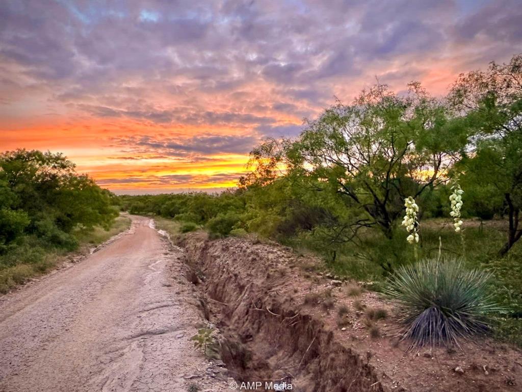 4538 463rd Rule, TX 79548 - Photo 36 of 39 a view of a road with a yard