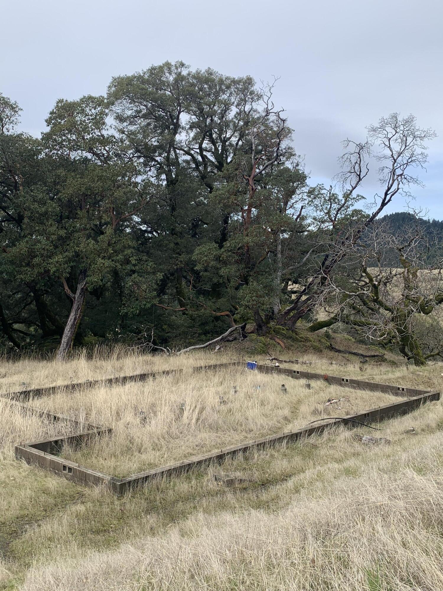 0 Thomas Road Miranda, CA 95553 - Photo 24 of 38 IMG_0866