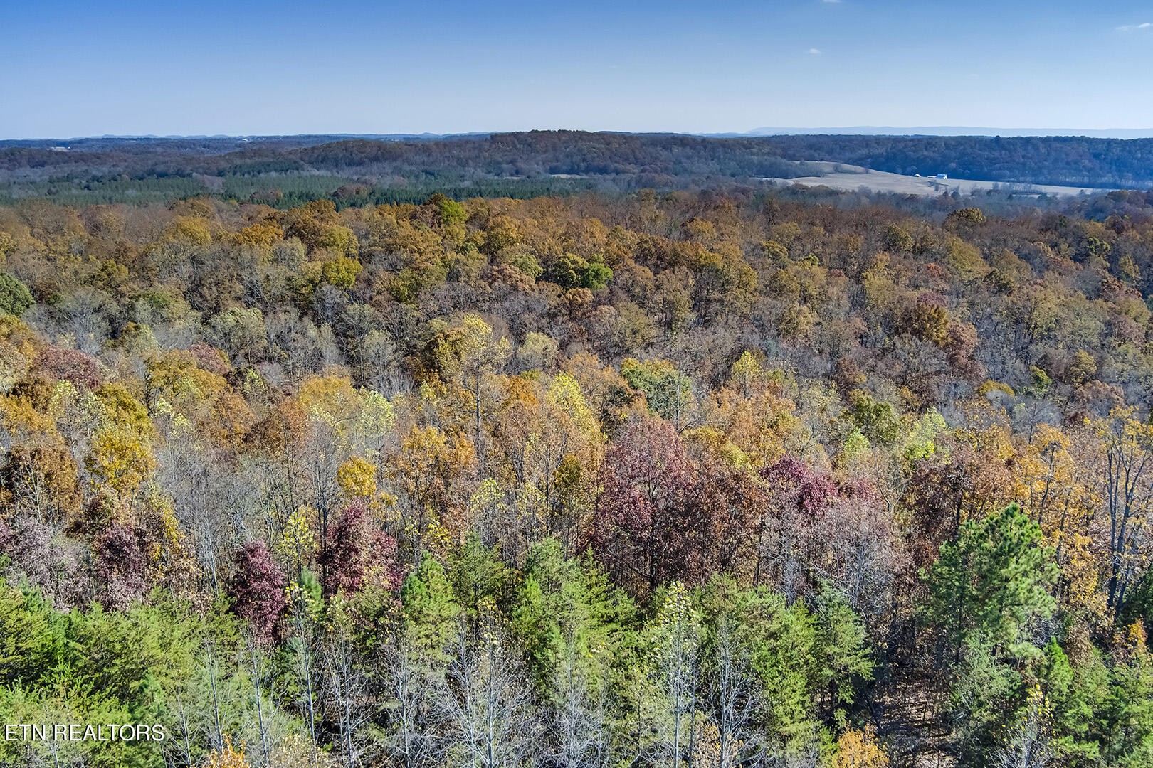 0 County Road 188 Decatur, TN 37322 - Photo 10 of 15