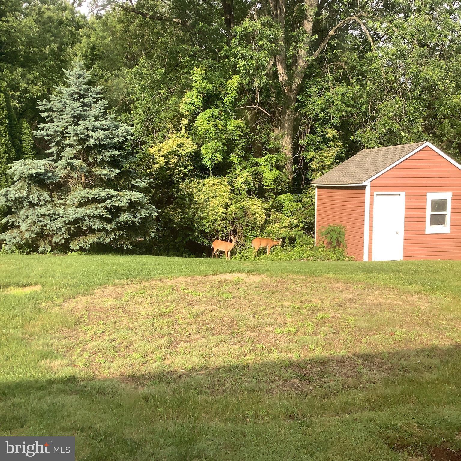 34 Georgetown Road Bordentown, NJ 08505 - Photo 31 of 39 Morning Coffee with Nature