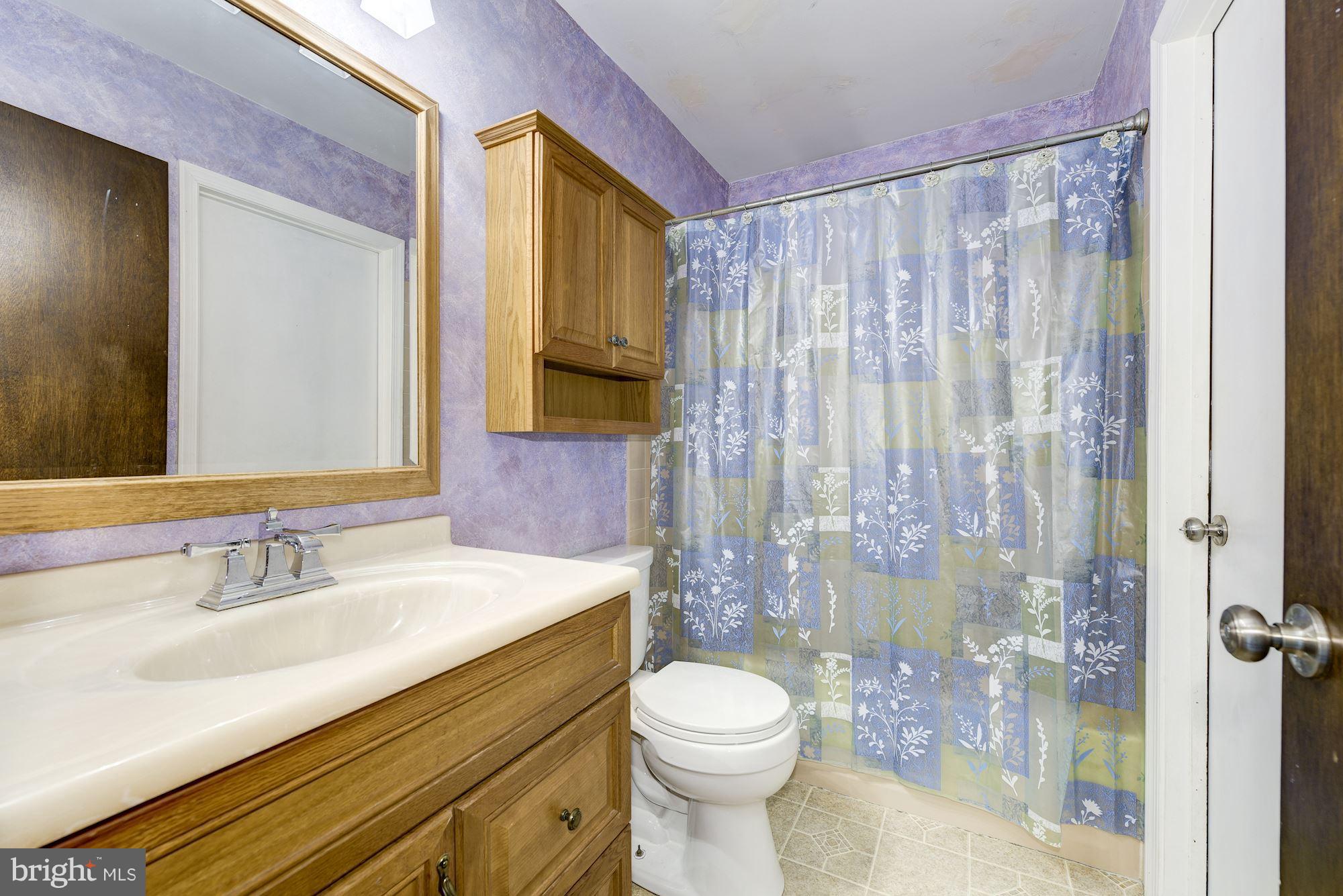 2418 Hopewell Road Marlton, NJ 08053 - Photo 21 of 42 a bathroom with a sink a toilet and shower